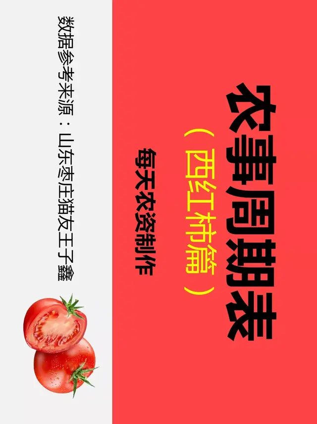 西红柿种植记录(农事周期表（西红柿篇），关键节点大梳理)