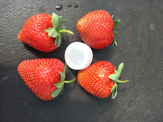 更适合南方露天栽植草莓品种，甜查理草莓苗早熟产量高