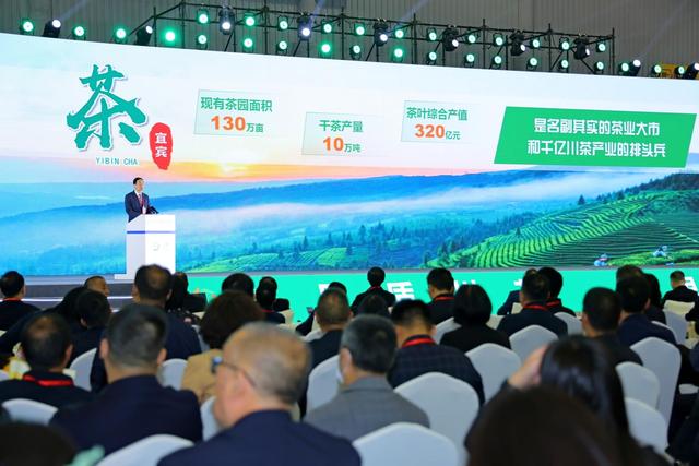 四川茶产业去年综合产值超千亿 业内建议： 希望大资本参与到产业升级中