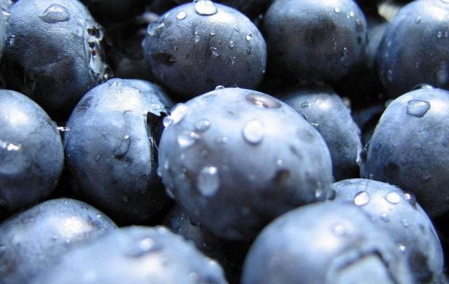 蓝莓好吃有营养，种植有技巧，一文为你详细道来