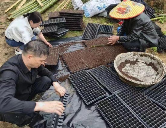 江西广昌：水果玉米栽种忙 种下增收新希望