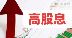 高分红股操作手册，新手也能看懂